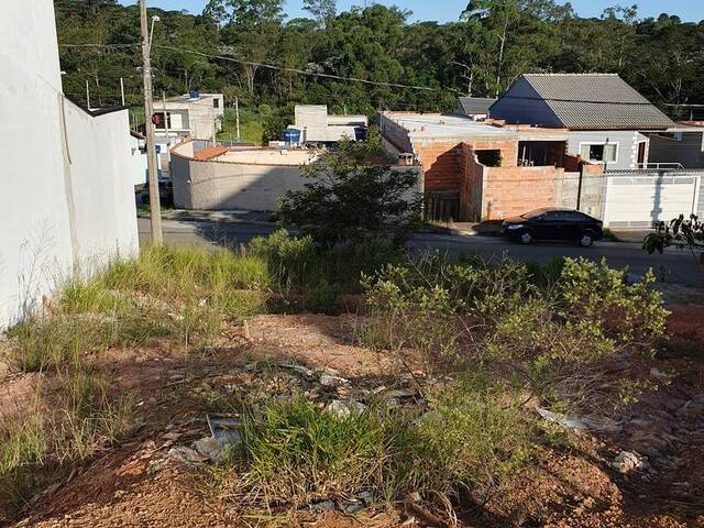 Área para Venda em Guarulhos - 4
